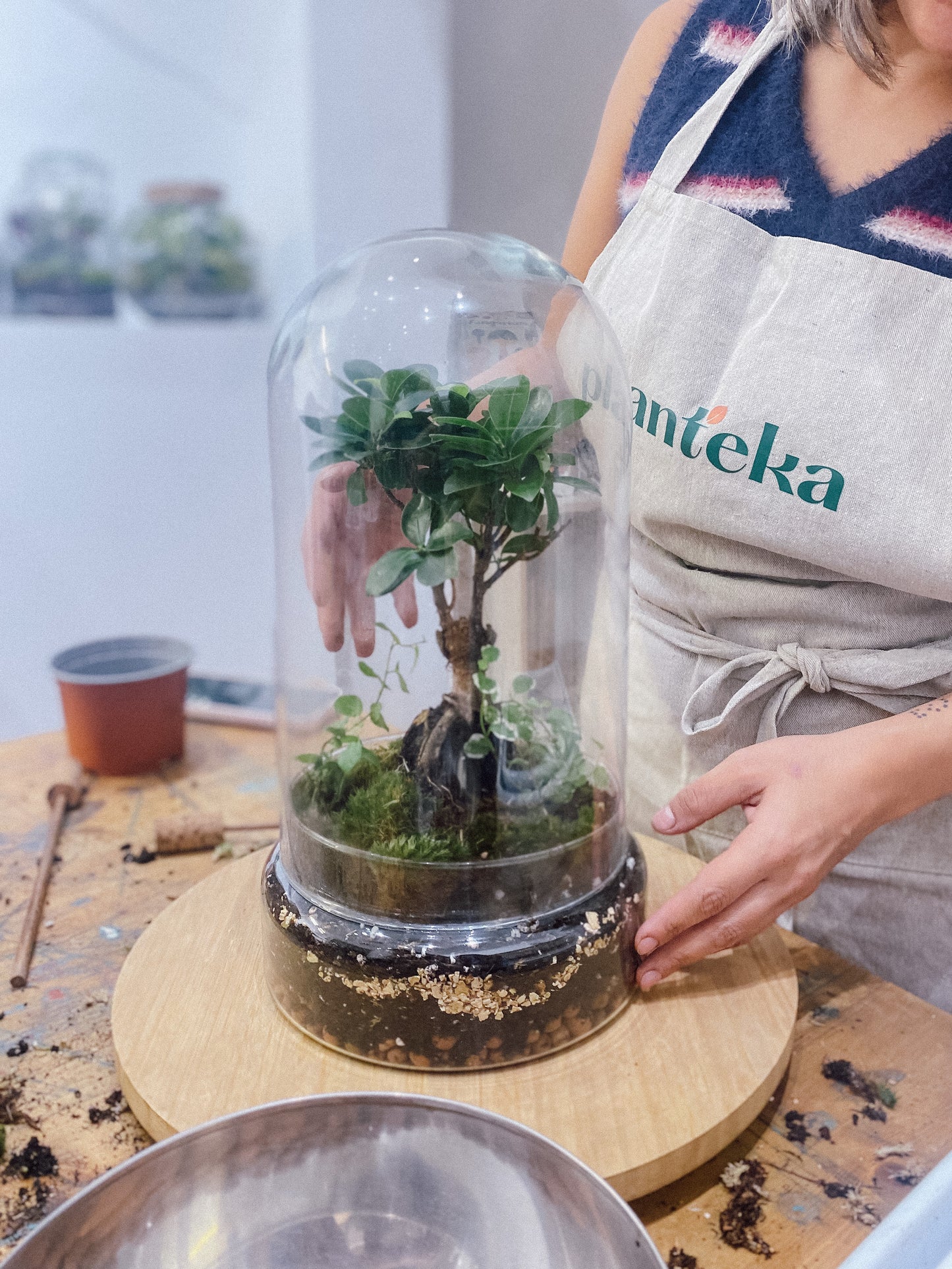 Taller de Terrario en Barcelona