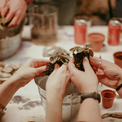 Taller de Terrario en Barcelona