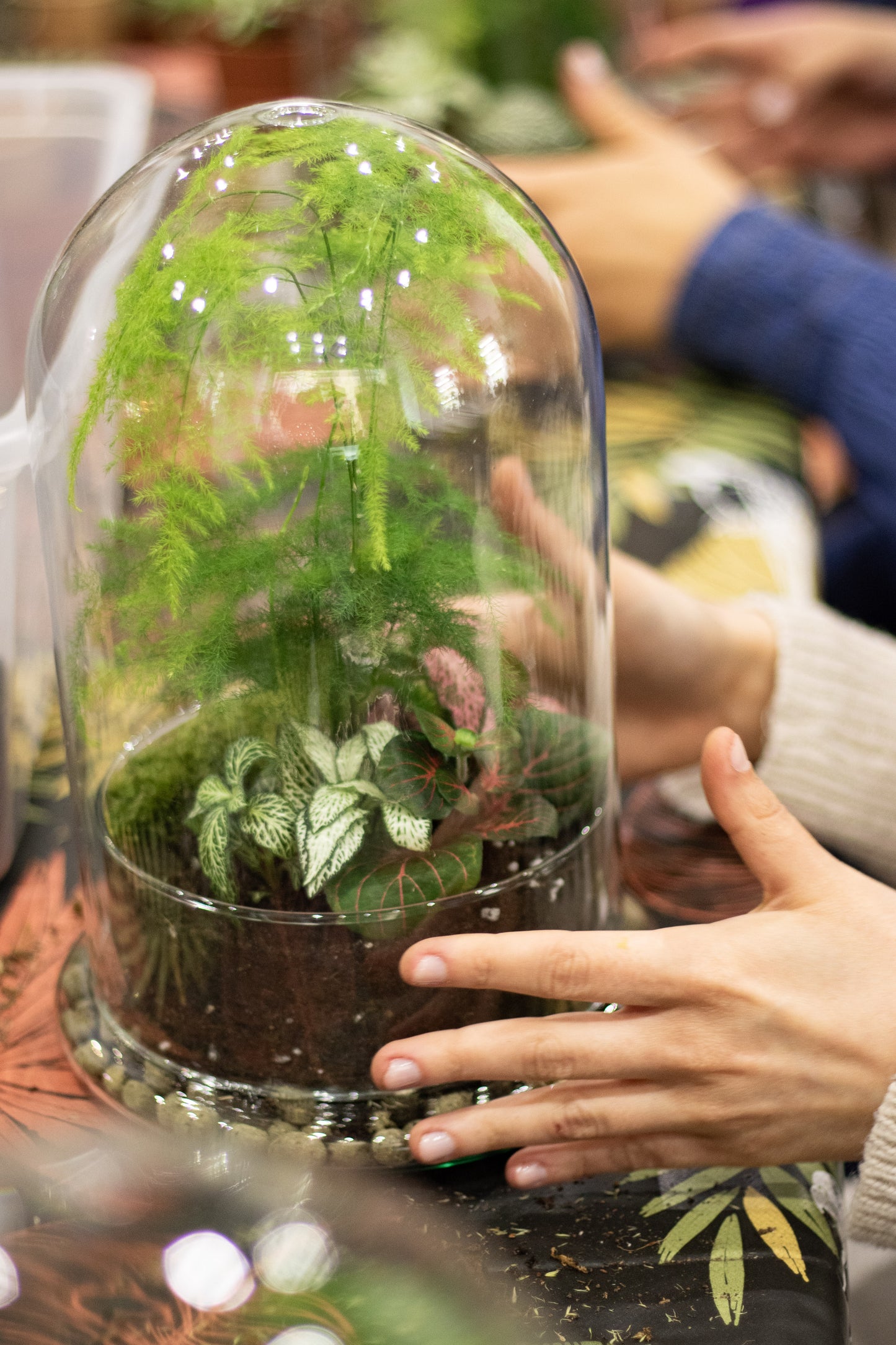 Terrarium Workshop in Madrid