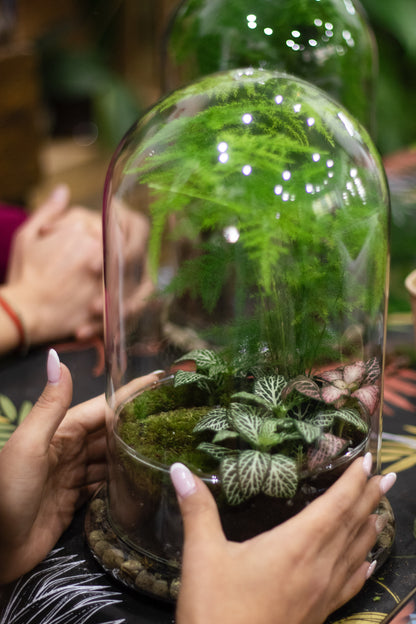 Terrarium Workshop in Madrid