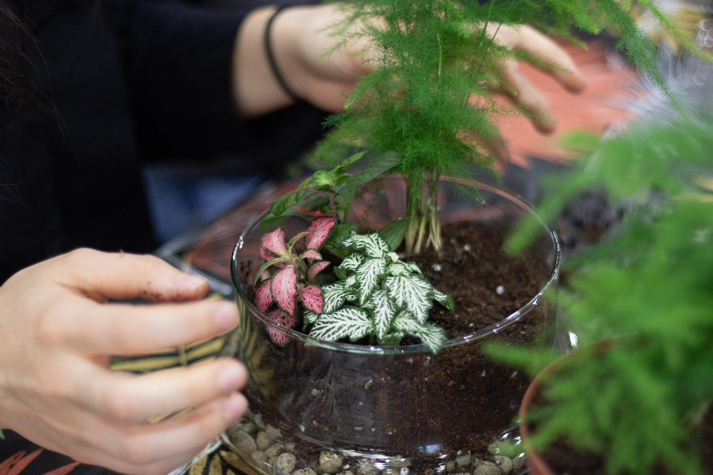 Terrarium Workshop in Madrid