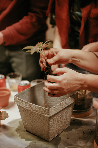 Terrarium Workshop in Madrid