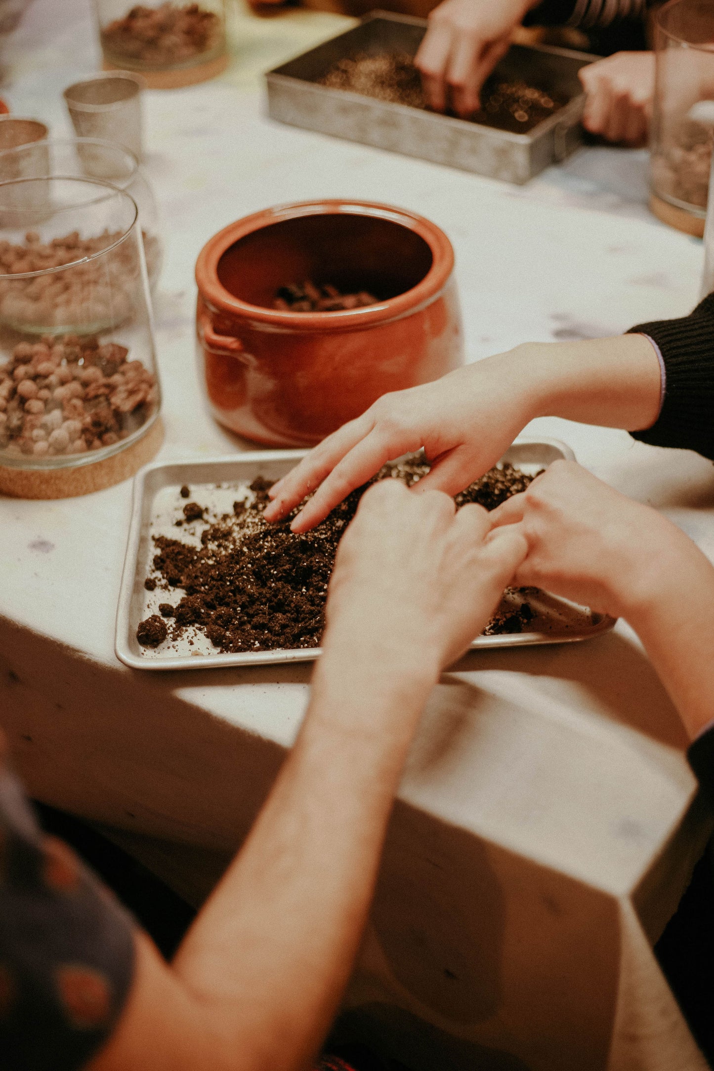 Terrarium Workshop in Madrid