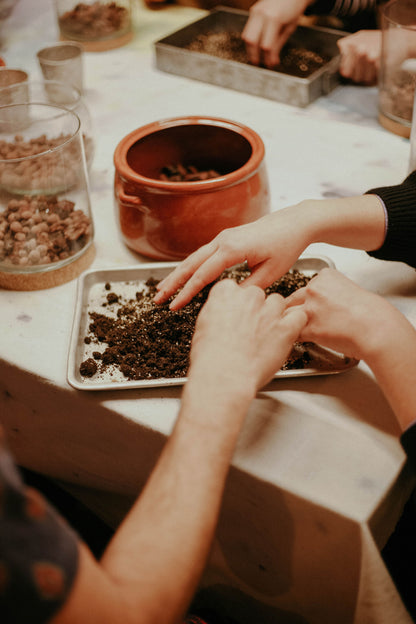 Terrarium Workshop in Madrid