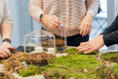 Taller de Terrario - Jardines Eternos con Plantas de Aire en Sant Cugat