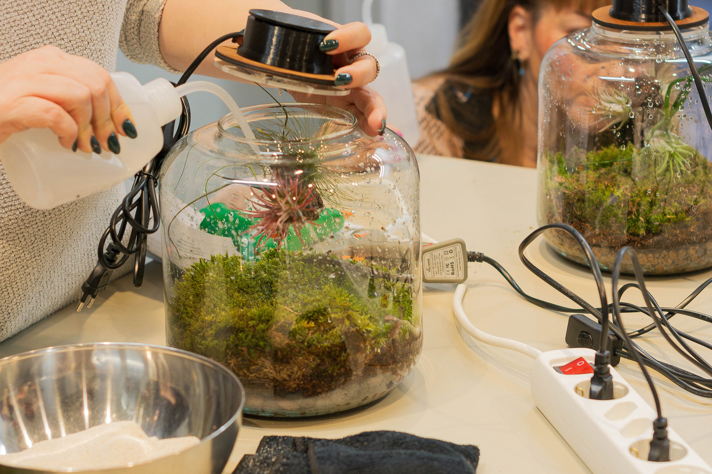 Taller de Terrario - Jardines Eternos con Plantas de Aire en Sant Cugat