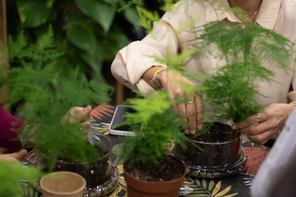 Taller de Terrario en Valencia