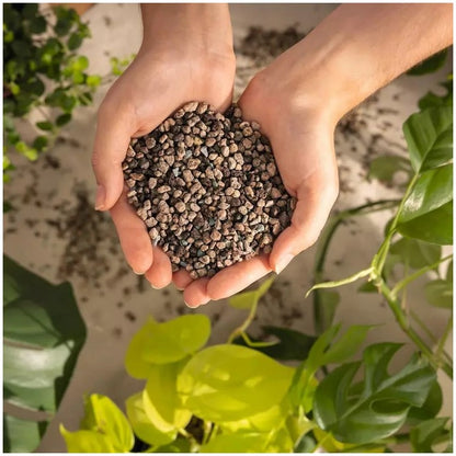 Taller de Sustrato Mineral y Autorriego en Valencia