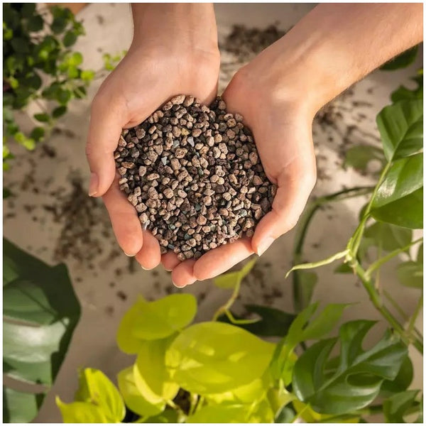 Taller de Sustrato Mineral y Autoriego con LECHUZA en Madrid