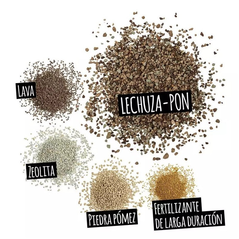 Taller de Sustrato Mineral y Autorriego en Valencia