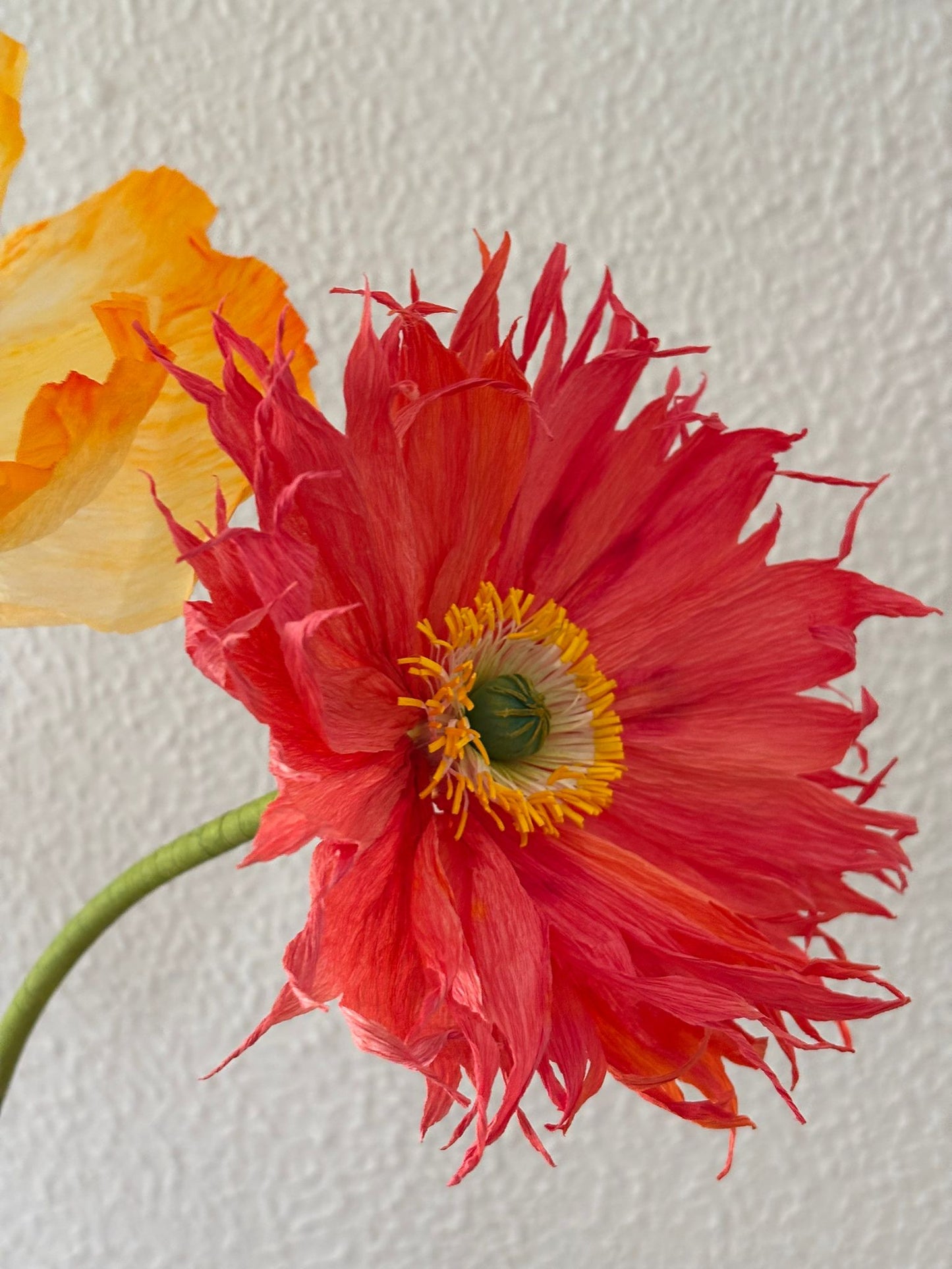 Paper Flower Workshop: Icelandic Poppy in Madrid