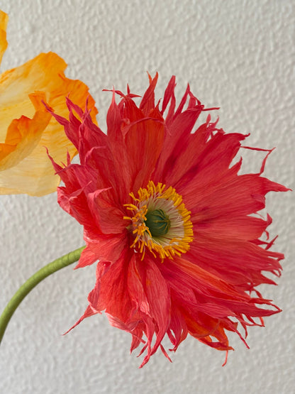 Paper Flower Workshop: Icelandic Poppy in Madrid