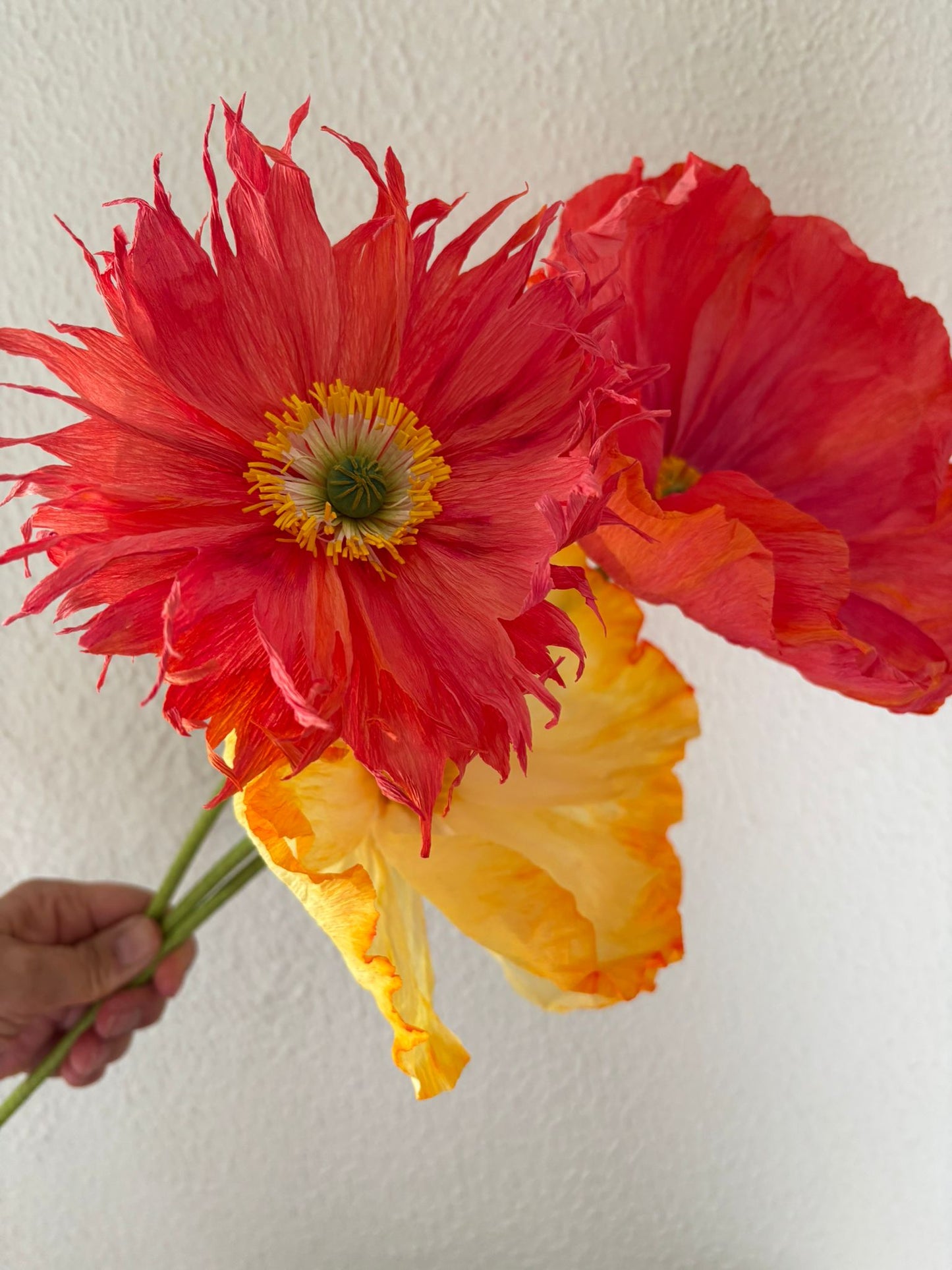 Paper Flower Workshop: Icelandic Poppy in Madrid