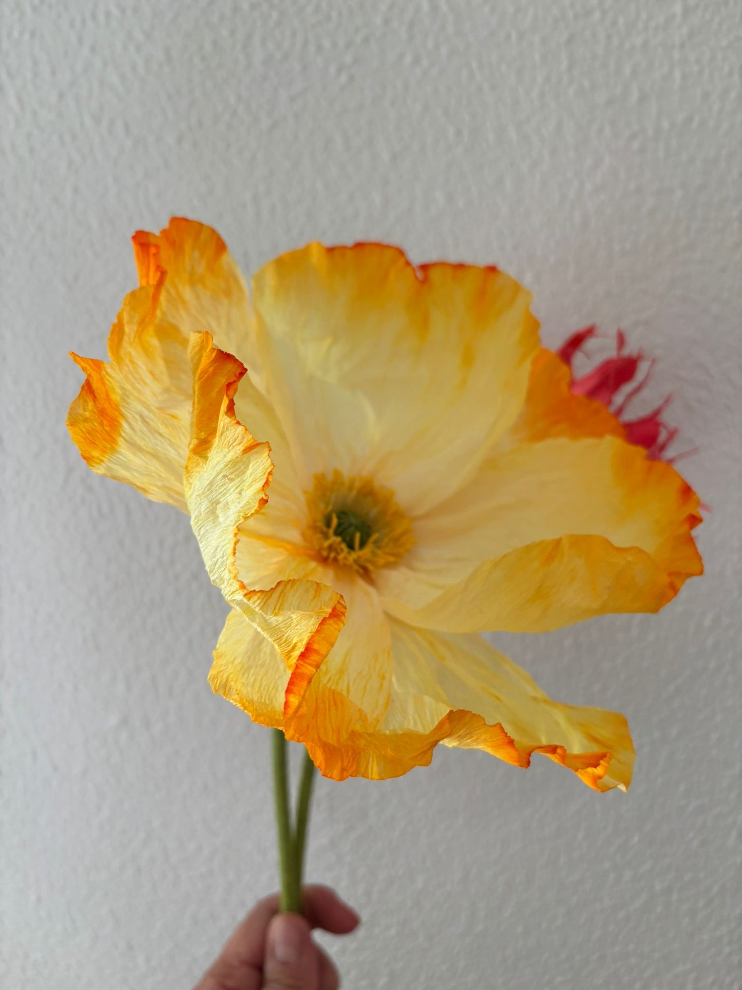 Paper Flower Workshop: Icelandic Poppy in Madrid