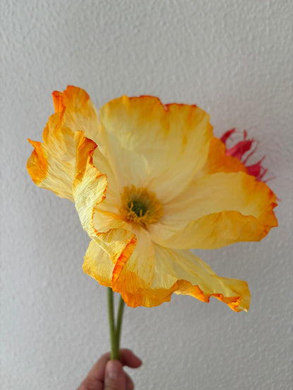 Paper Flower Workshop: Icelandic Poppy in Madrid