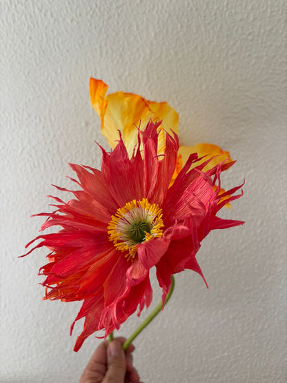 Paper Flower Workshop: Icelandic Poppy in Madrid